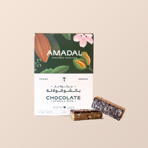 Chocolate Granola bars