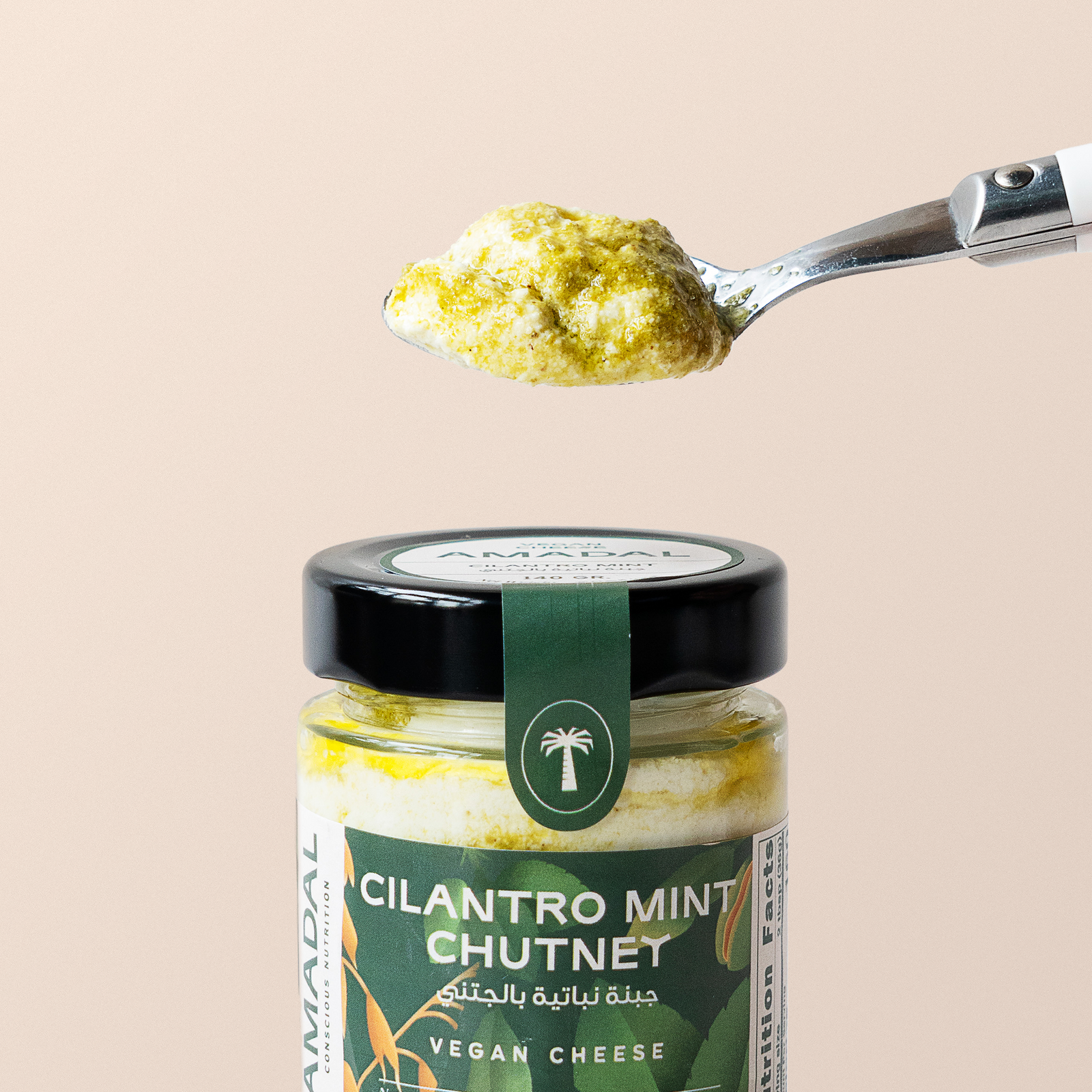 Cilantro Mint Chutney Vegan Cheese